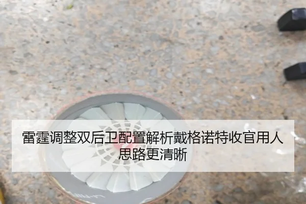 lei-ting-tiao-zheng-shuang-hou-wei-pei-zhi-jie-xi-dai-ge-nuo-te-shou-guan-yong-ren-si-lu-geng-qing-xi-2-448.jpg