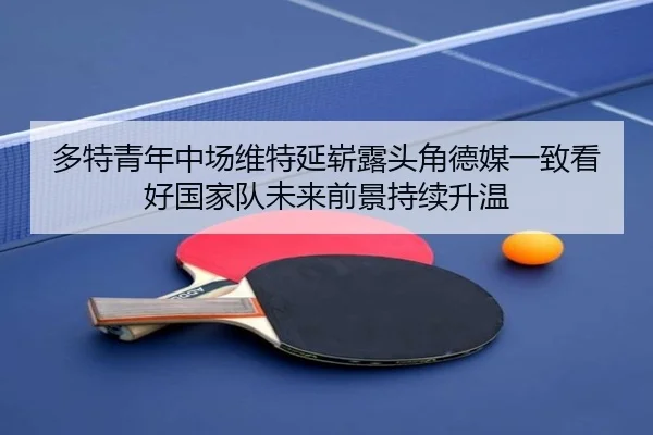 多特青年中场维特延崭露头角德媒一致看好国家队未来前景持续升温 | okooo